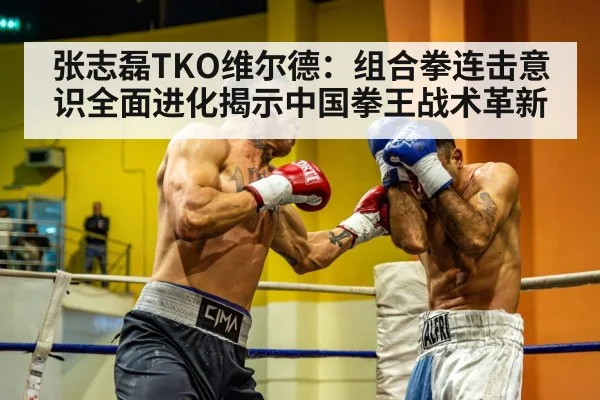 张志磊TKO维尔德：组合拳连击意识全面进化揭示中国拳王战术革新